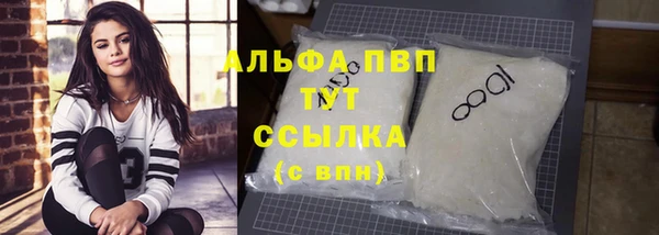 прущие грибы Вяземский