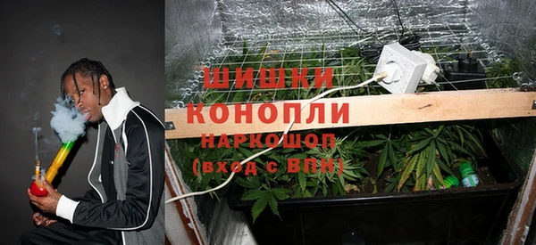 PSILOCYBIN Алексин