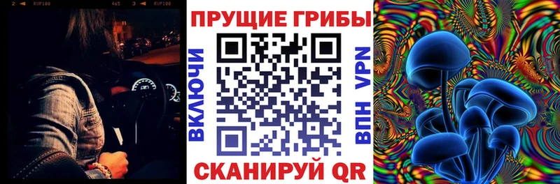 Галлюциногенные грибы Psilocybine cubensis  Волгоград 