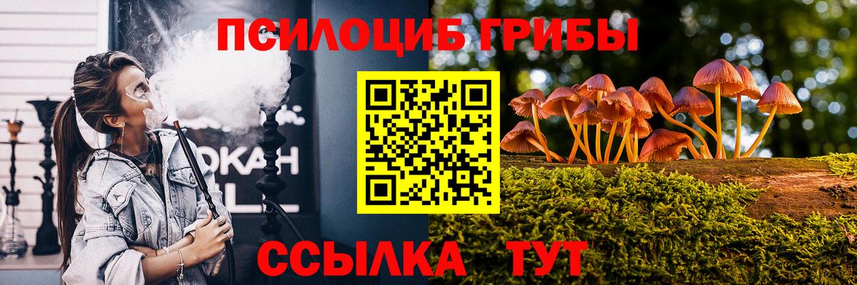 Псилоцибиновые грибы мицелий  Галлюциногенные грибы Psilocybine cubensis  Вход с VPN  Волгоград 