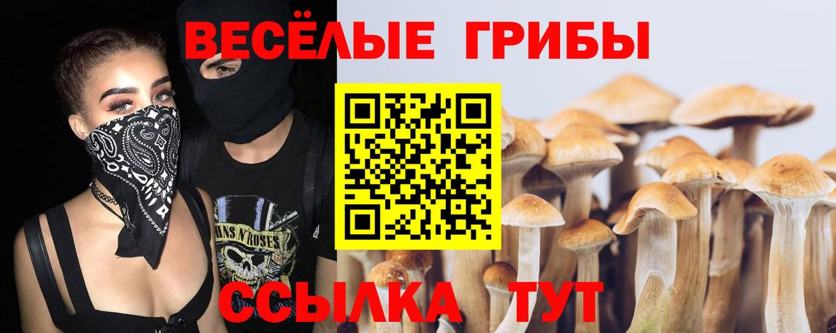 Галлюциногенные грибы GOLDEN TEACHER Волгоград