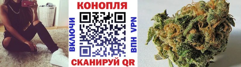 как найти   Волгоград  МАРИХУАНА конопля 