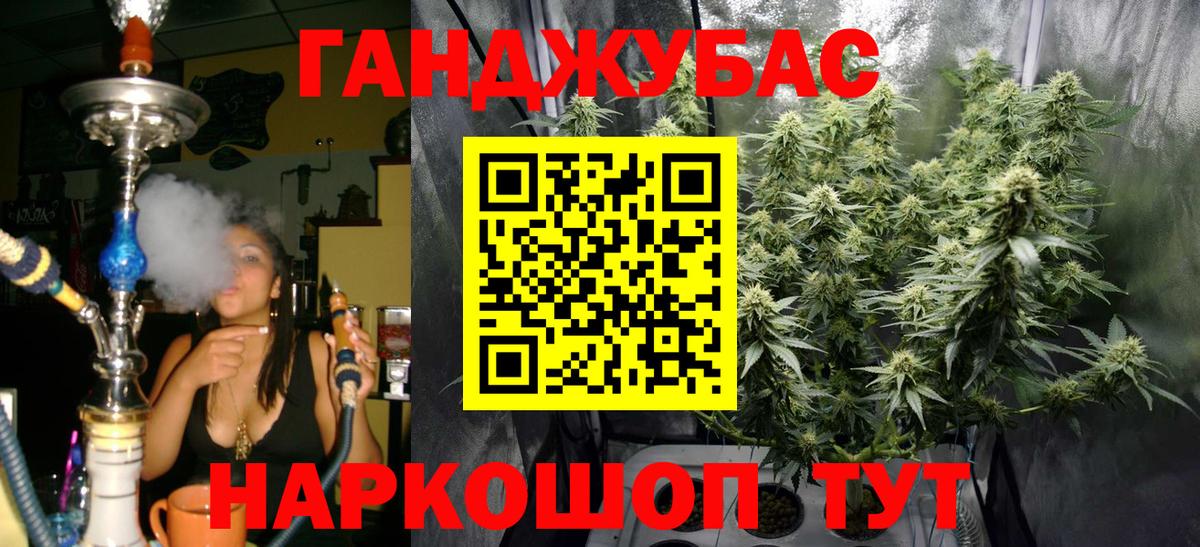 Бошки марихуана план Волгоград
